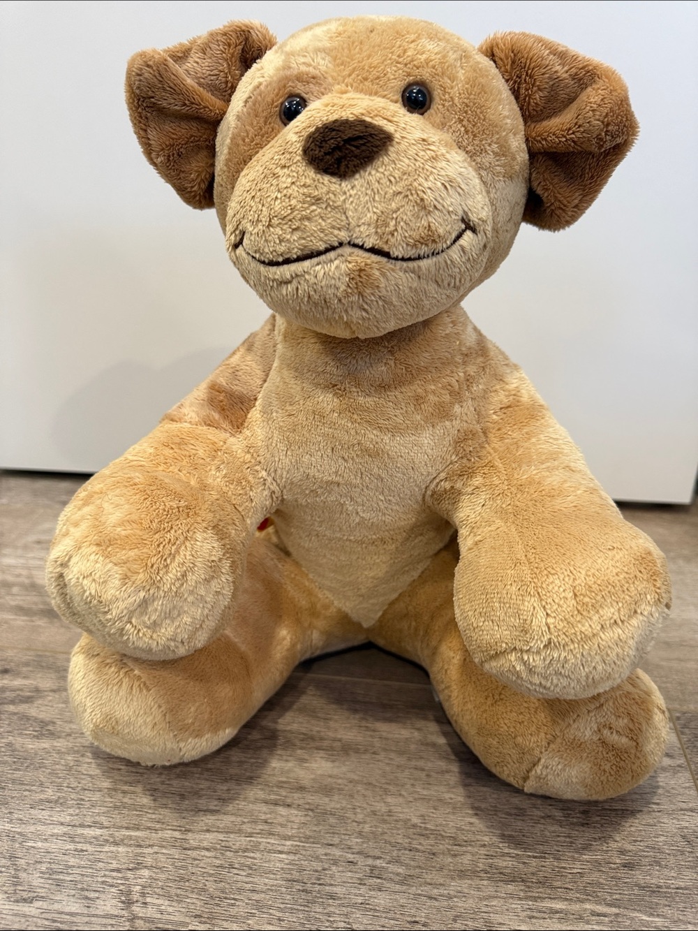 Build a Bear retired Hugs the puppy. Allergy and asthma friendly.